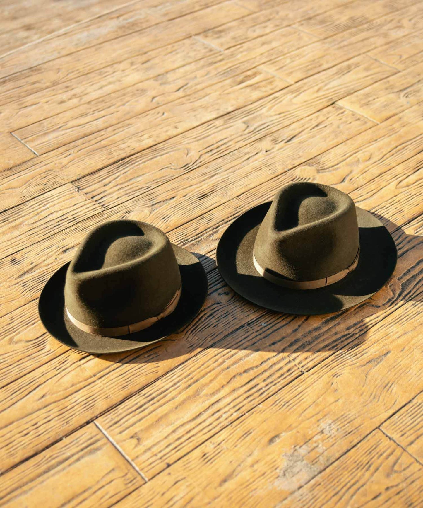 SHI SHI DOG RABBIT LONG / Rabbit Quality