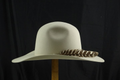 Yellowstone "Walker" Hat