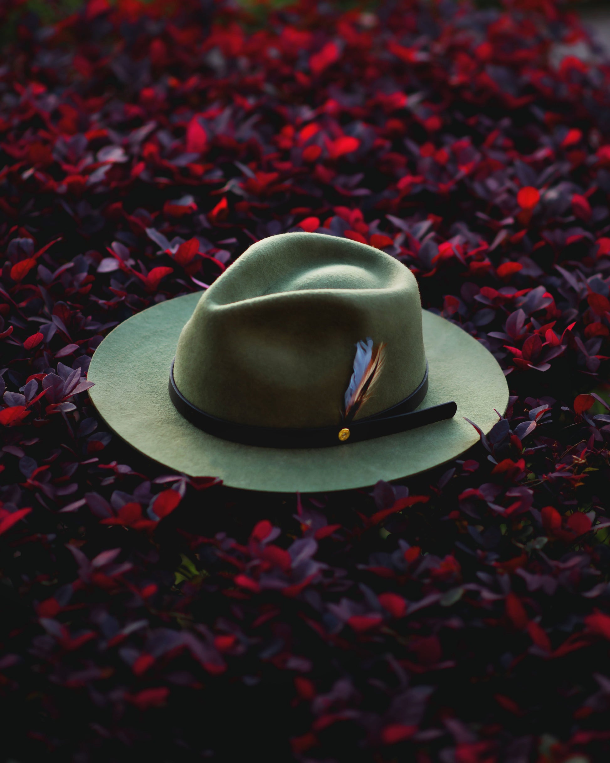 Geoffery Fedora–Olive Green[Fast shipping and box packing]