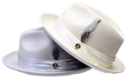 Giovani Collection