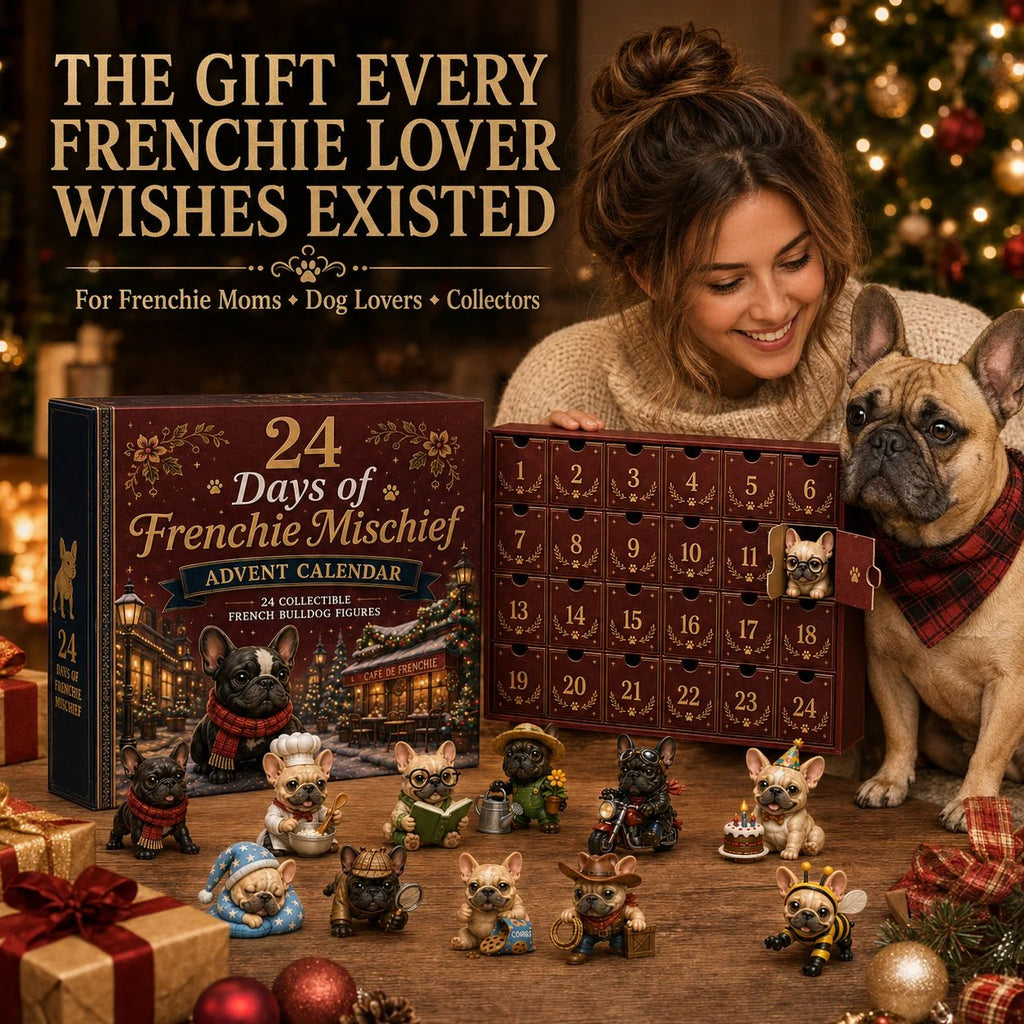 2026 Pet Advent Calendar – 24 Days of Frenchie Mischief