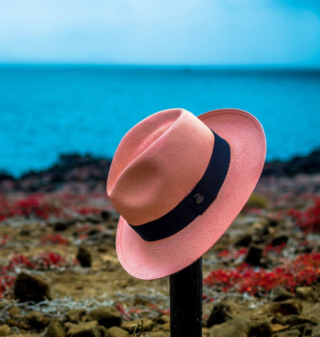 Advanced Original Panama Hat-Pink Toquilla Straw | Brown Band-Handwoven in Ecuador(HatBox Included)