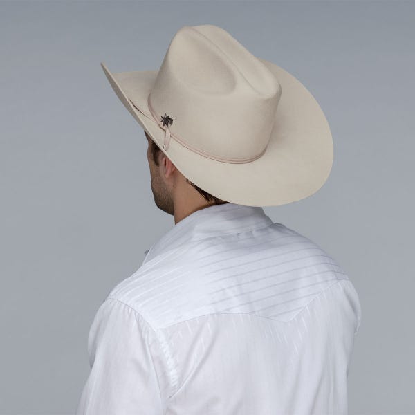 STAMPEDE 2X